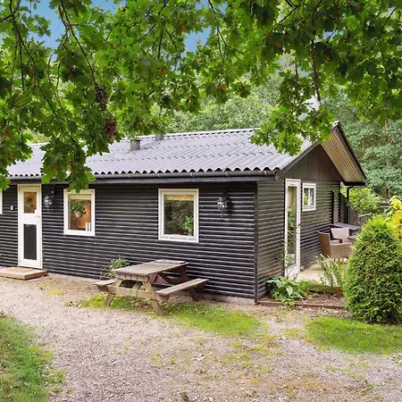 Amazing In With Wifi Tatil Evi *